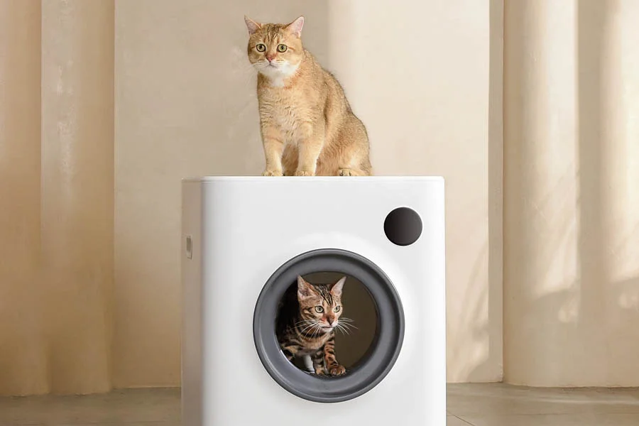 scent free litter box