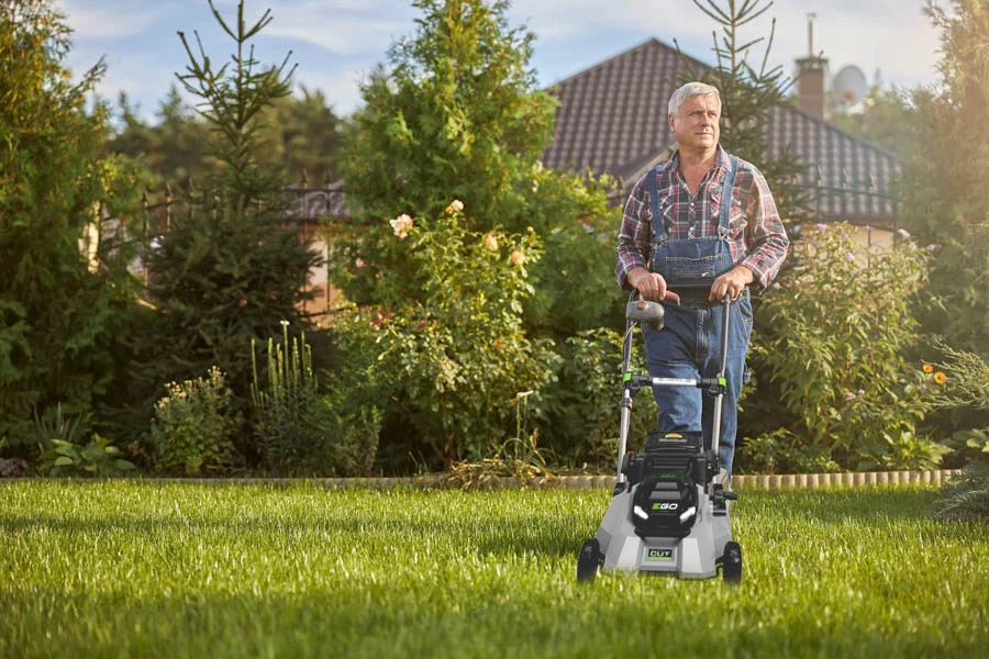 small electric lawn mowers